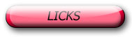 Learn New Licks!