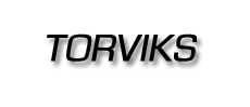 Torviks